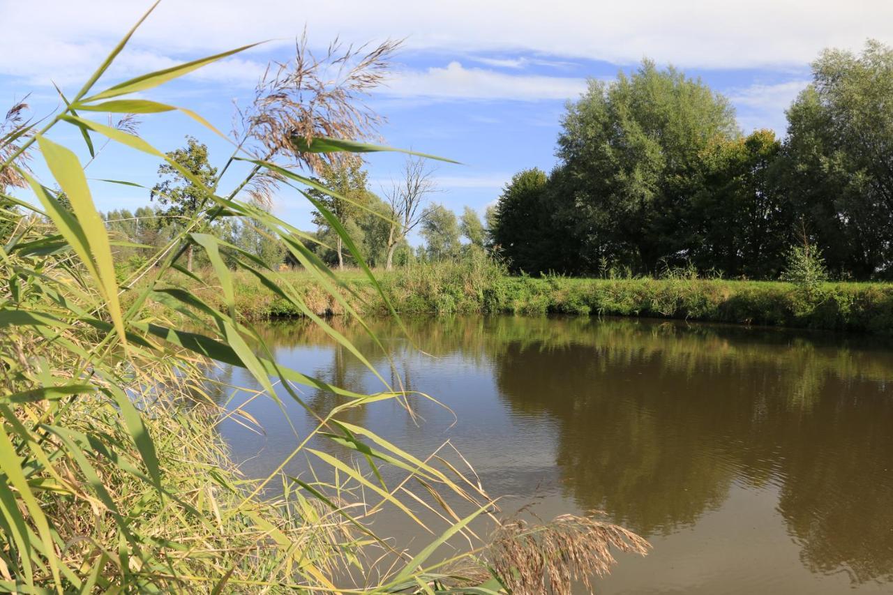 Agroturystyka Zulawiaczek Nowy Dwór Gdański Exteriér fotografie