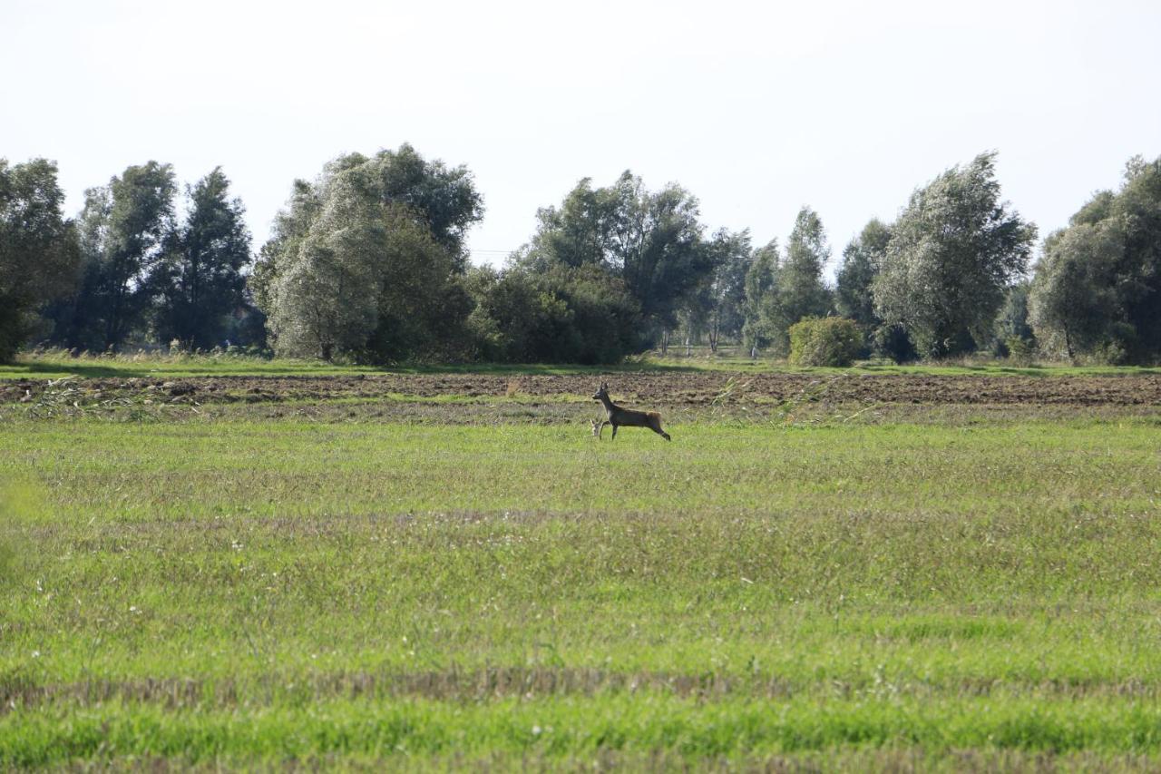Agroturystyka Zulawiaczek Nowy Dwór Gdański Exteriér fotografie