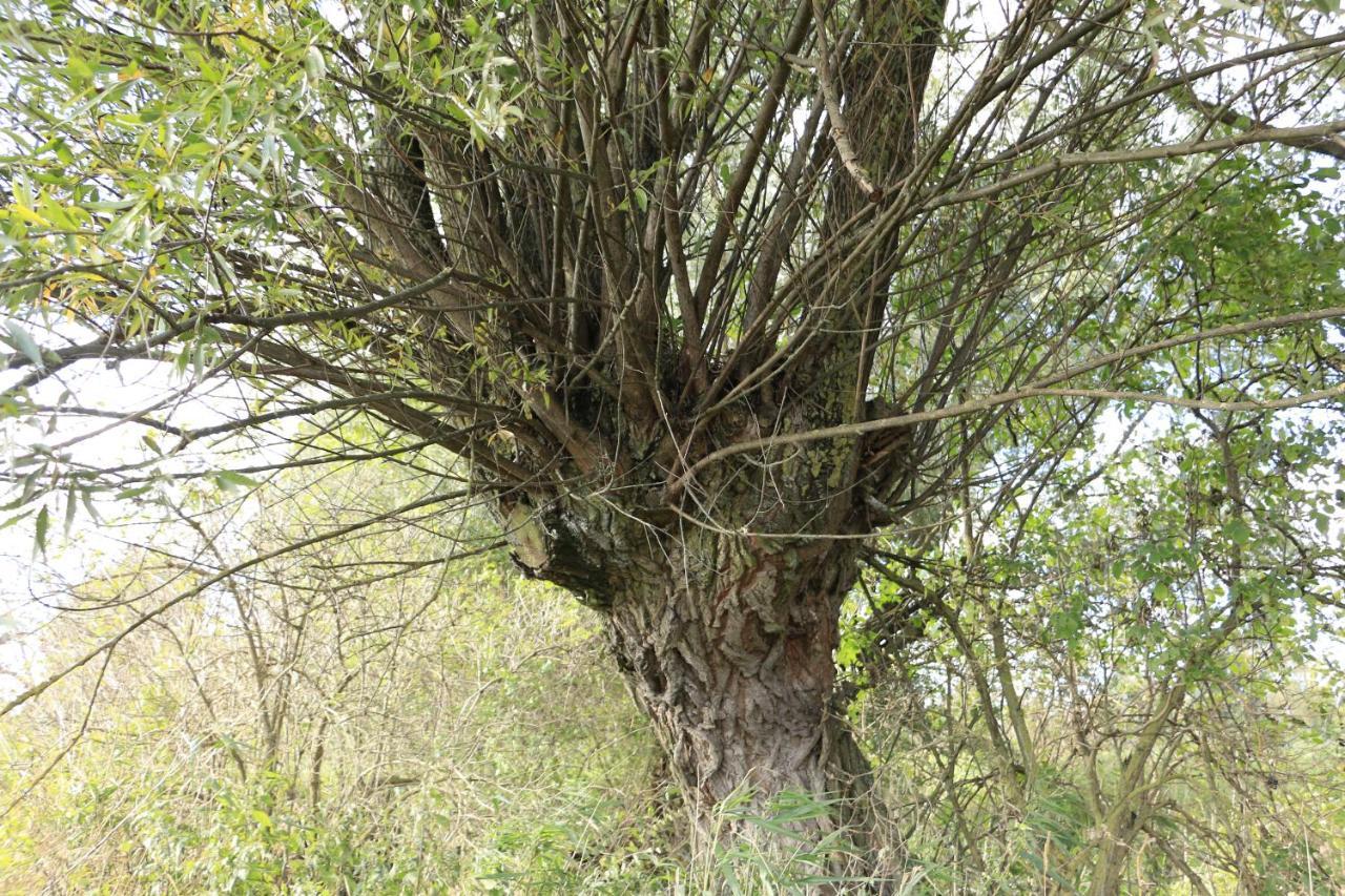 Agroturystyka Zulawiaczek Nowy Dwór Gdański Exteriér fotografie