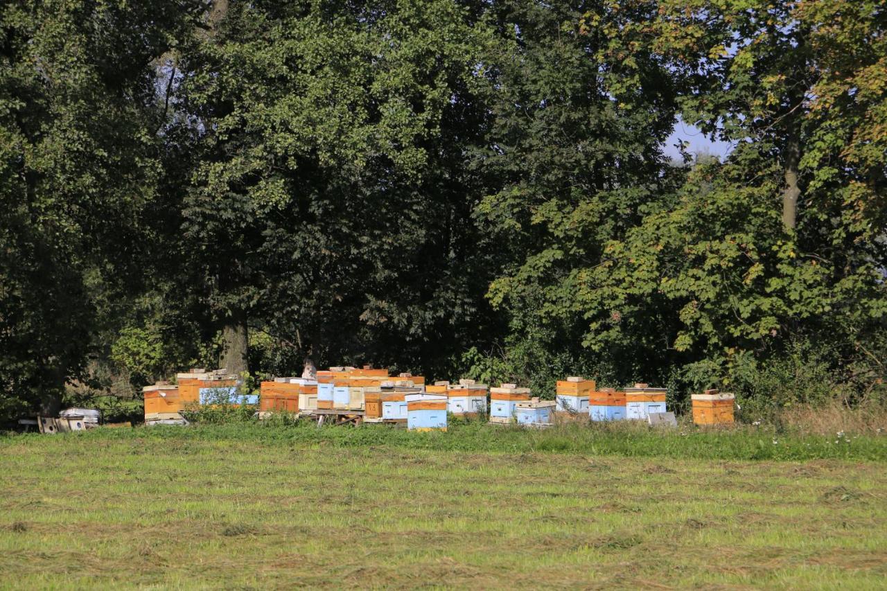 Agroturystyka Zulawiaczek Nowy Dwór Gdański Exteriér fotografie